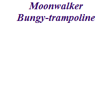 Moonwalker
Bungy-trampoline